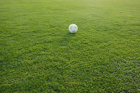 football, sports ground, ball, football pitch, sport, rush, ball sports