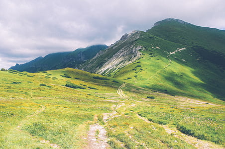 hiking, landscape, lawn, meadow, mountains, nature, path