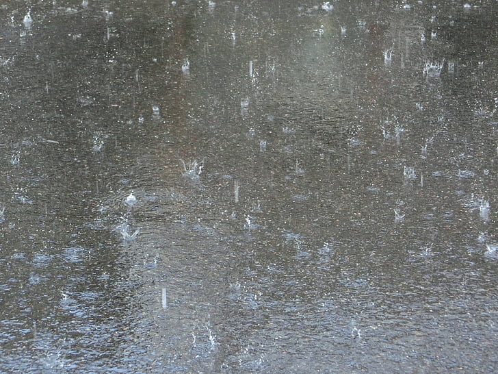 platschregen, rainstorm, rain, ground, drip, nature, shiver