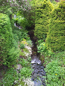 fluxuri, care curge, apa, verdeaţă, plante, Flora, Grupul Verzilor