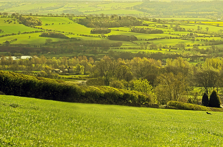 landskap, staket, våren, sommar, England, North yorkshire, grön