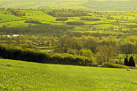 krajina, ploty, jaro, léto, Anglie, Severní yorkshire, zelená