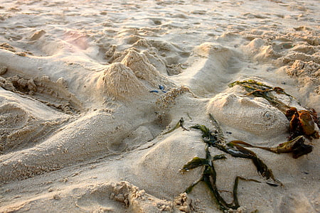plage, sable, sculpture de sable, sculpture, plage de sable
