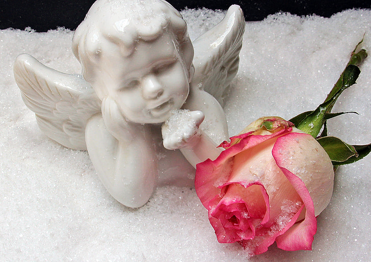 Angel, Slika Angel, Rose, sneg, božič, weihnachtsbaumschmuck, božični okraski