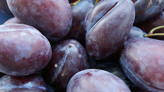 prunes, fruita, Sa, madures, fruites, violeta, deliciós