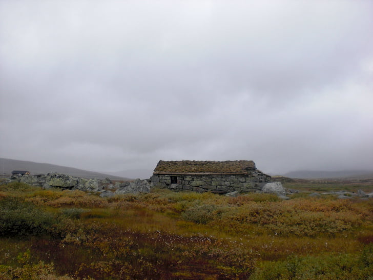 Nórsko, Hardangervidda, Príroda, Príroda, Trekking, pustatina, kamene