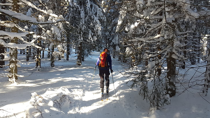 skiiing backcountry, foresta nera, sci, inverno, neve, sci, Sport invernali