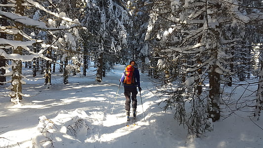 backcountry skiiing, musta metsa, Suuskade, talvel, lumi, Suusatamine, Talisport