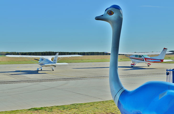 Aeroporto, aviões, mascote, Strauss, Figura, Aeródromo de montanha straus, campo de pouso