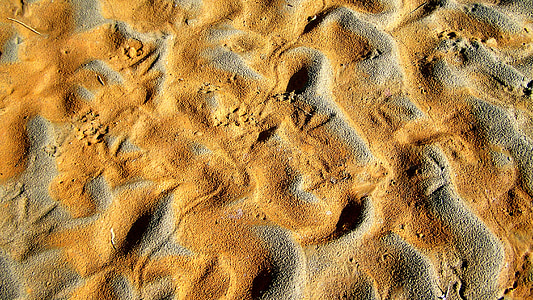Drava, plank, dierlijke voetafdrukken, zwaaien rode zand