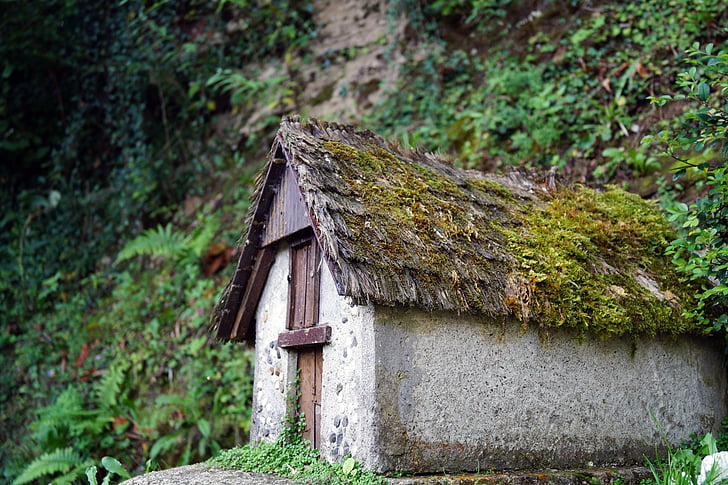cottage, model, region, farmhouse, moss, roof, house