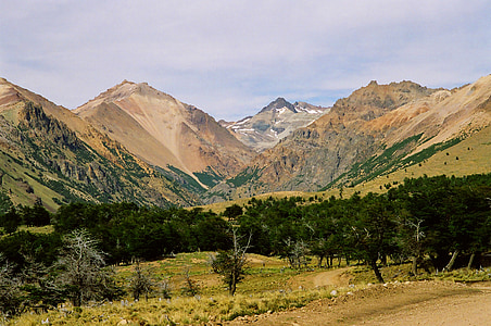 Patagonia, fjell, natur, felt, plen, skog, trær