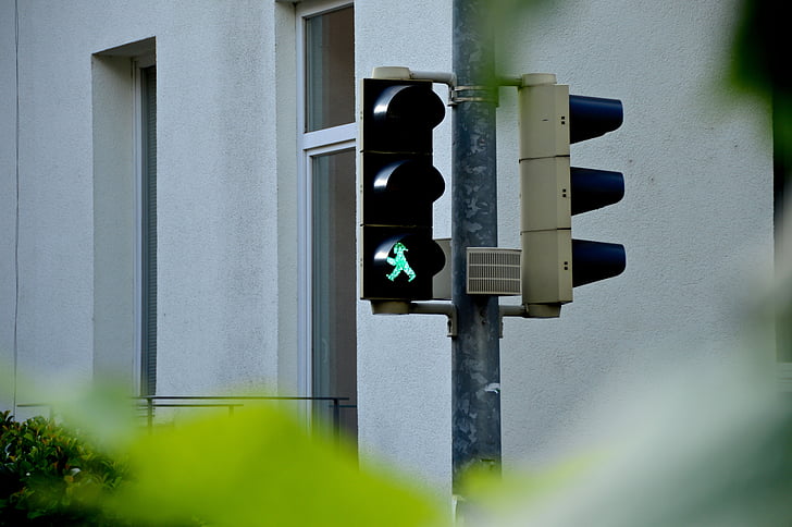 grønt trafiklys, trafiklys, gangbro, hanner, grøn, gå, skjult