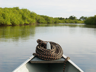 独木舟, 河, 丛林, 代表, 航海的船只, 湖, 自然