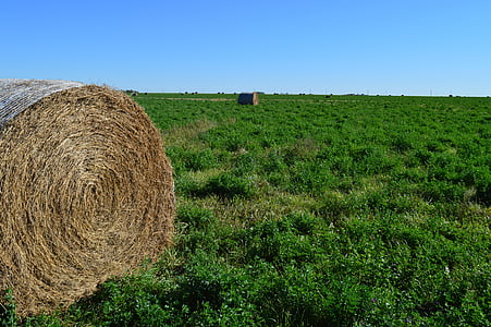 hay bale, haystack, nature, prairie, harvest, straw, rural