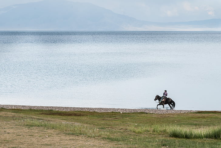 person, riding, horse, beside, beach, grass, lake
