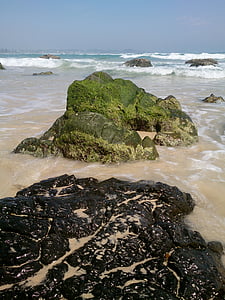 Kirra beach, skały, Plaża, Ocean, Mech, Wybrzeże, Australia