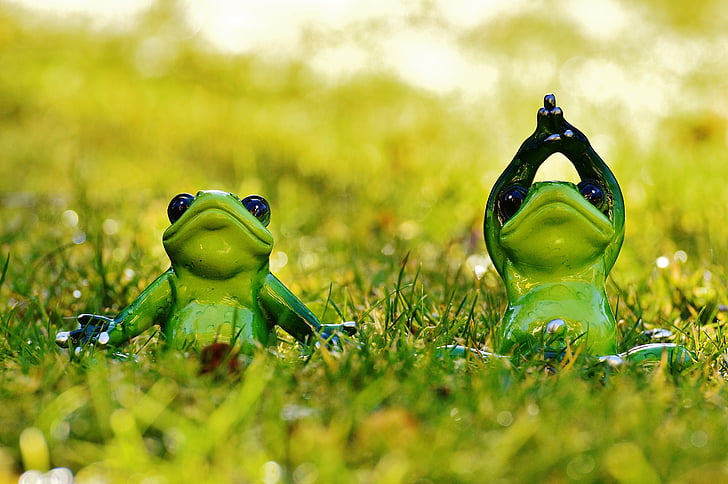 frogs, yoga, meadow, figure, animal, green, cute
