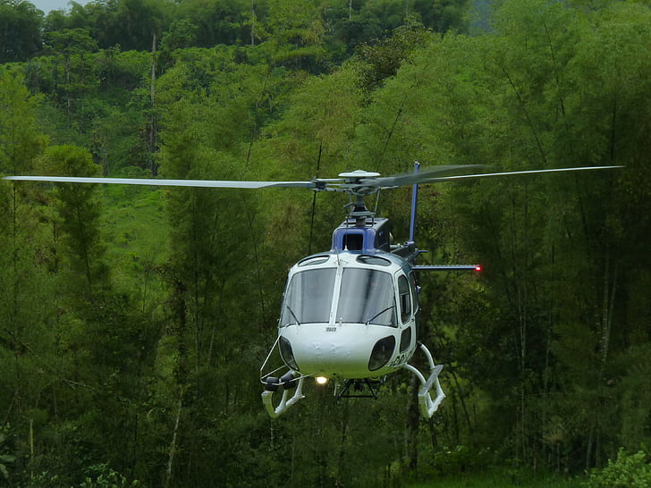helikopter, flyvning, jungle, flyve, grøn, rotorer, sikkerhed