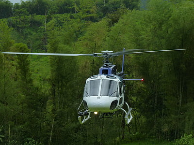 helikopter, penerbangan, hutan, terbang, hijau, rotor, keamanan