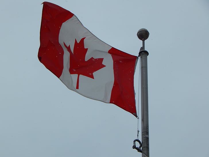drapeau canadien, hiver, il neige, Canada, drapeau, feuille d’érable, canadien