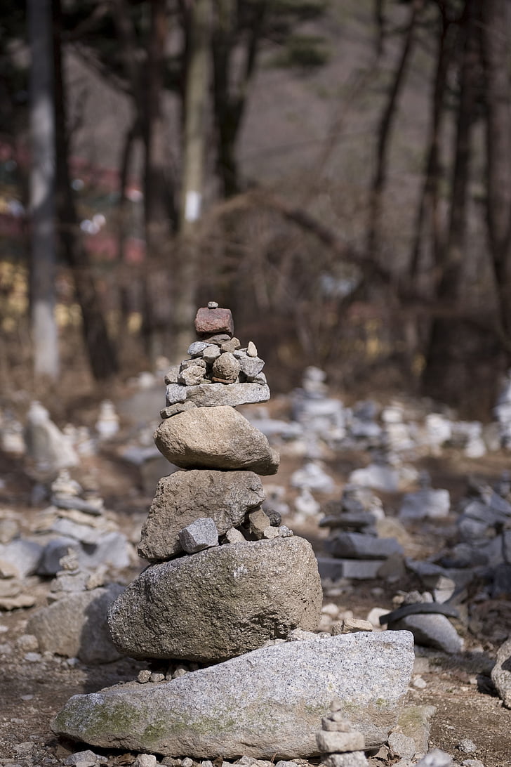kivist torn, palve, kvalitatiivne, kivi, lemmikute, Loodan, et, Genesis