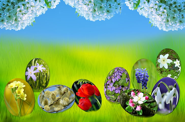 Velikonoce, vejce, jaro, slunce, tráva, zelená, Příroda