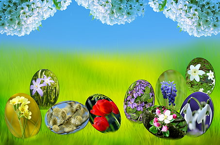 Húsvét, tojás, tavaszi, nap, fű, zöld, természet