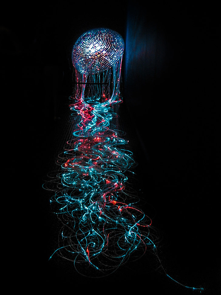 swarovski, light, color, octopus, lighting, lamp, sparkling