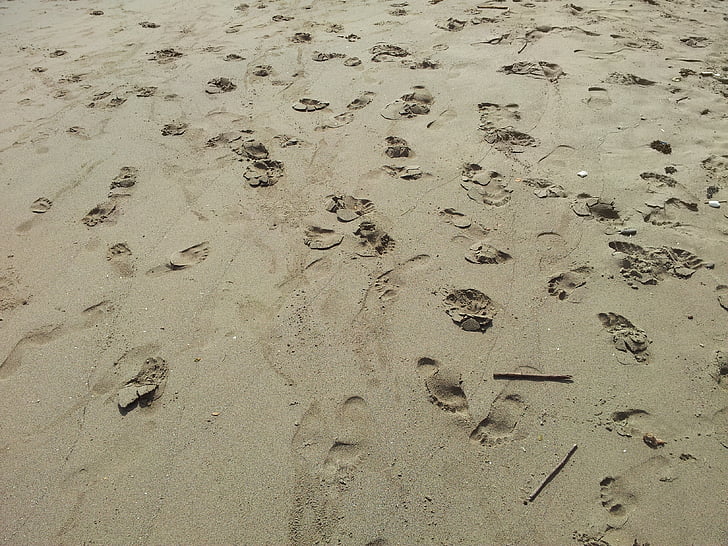 Playa, pie, a pie, pies descalzos, tropical, paso, naturaleza