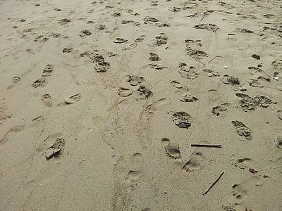 strand, voet, wandeling, blote voeten, tropische, voetstap, natuur