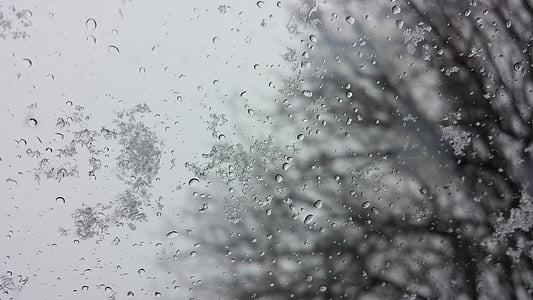 雨, 雪, 冬天, 湿法, 感冒, 天气, 赛季
