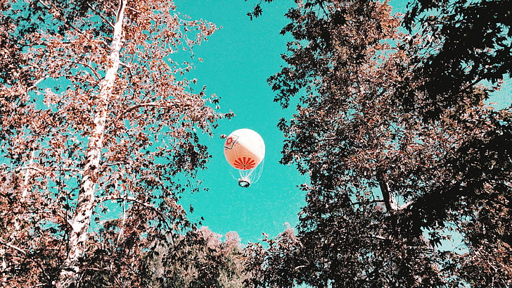 trắng, màu đỏ, Hot, Máy, baloon, bầu trời, cây