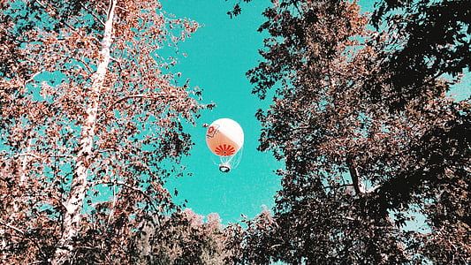 Branco, vermelho, quente, ar, baloon, céu, árvore
