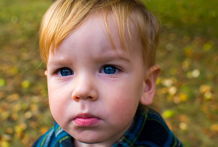 το παιδί, μια σοβαρή, πορτρέτο, μπλε μάτια, Χαριτωμένο, ξανθός/ιά, bot