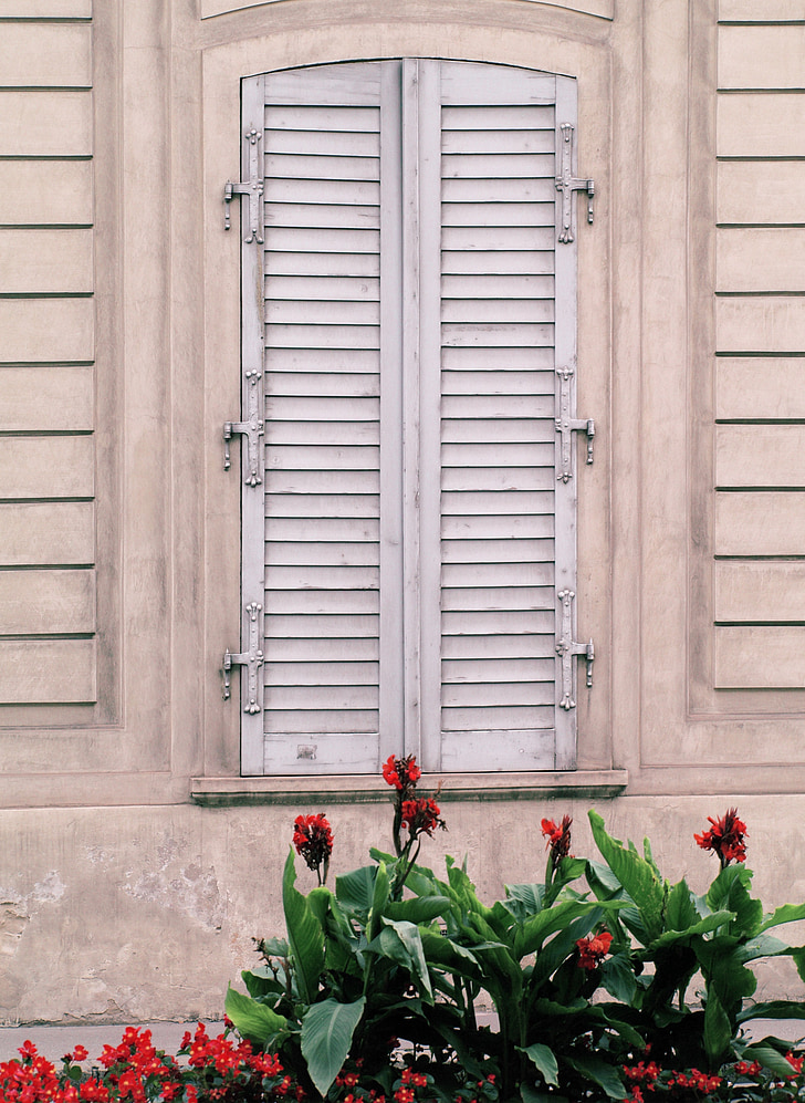 building, window, old, shutter, flowers, vienna, austria