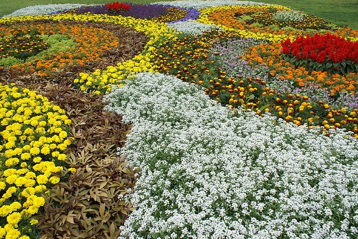 valtion garden Näytä, kukat