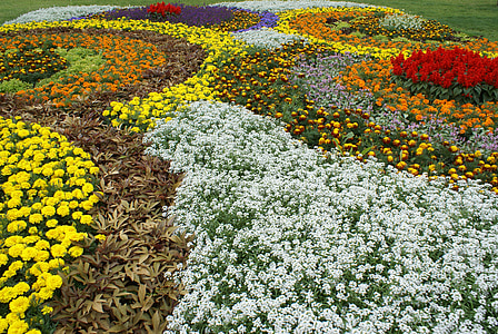 state garden show, flowers