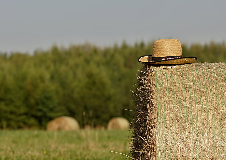 summer, straw, bale of straw, field, hat, hay, bale
