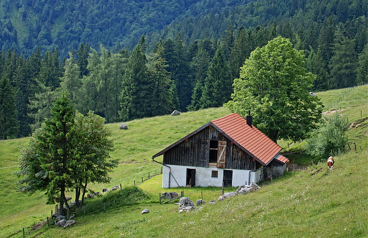 景观, 自然, 巴伐利亚, 上部巴伐利亚, chiemgau, alm, 高山的小屋