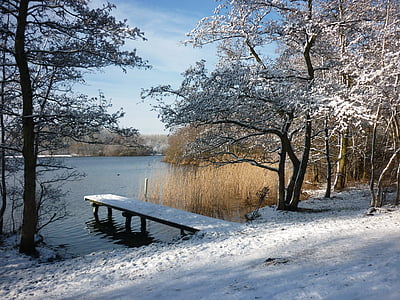 Зимен пейзаж, сняг, Рийд, зимни, дърво, природата, студено - температура