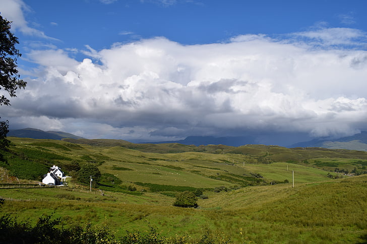 pole, obloha, tráva