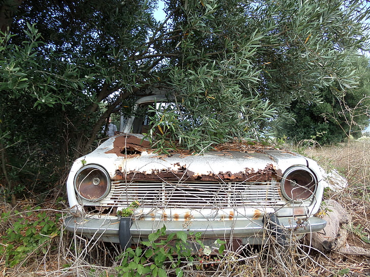 coche, restos del naufragio, moho, accidente de auto, antiguo, corroído