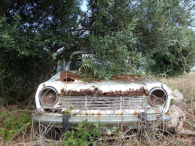car, wreck, rust, car wreck, old, corroded