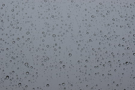 raindrop, wet, window pane, drop of water, rain, water