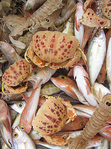 shellfish, seafood, market, food, fish, were offered, delicacy
