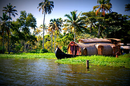 eau, bateaux, arbres, noix de coco, Kerala, péniches d’habitation, bateau nautique