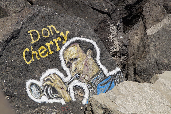 Don cherry, trompette, musicien, art, peinture, pierres, pierres de rive
