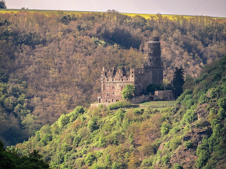 lossi hiir, Castle, Rein, röövlindude, Middle rhine valley, Saksamaa, Saksimaa