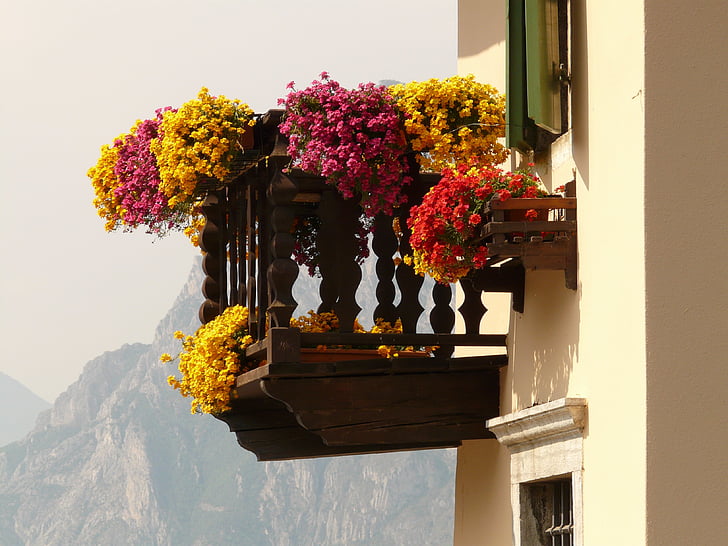balkonem, kwiaty, Geranium, drewno, Strona główna, Widok, wakacje
